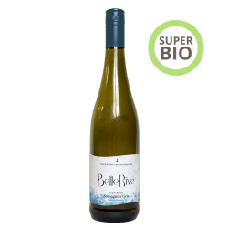 Bouteille BelleRive Souvignier gris